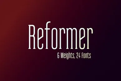 Reformer