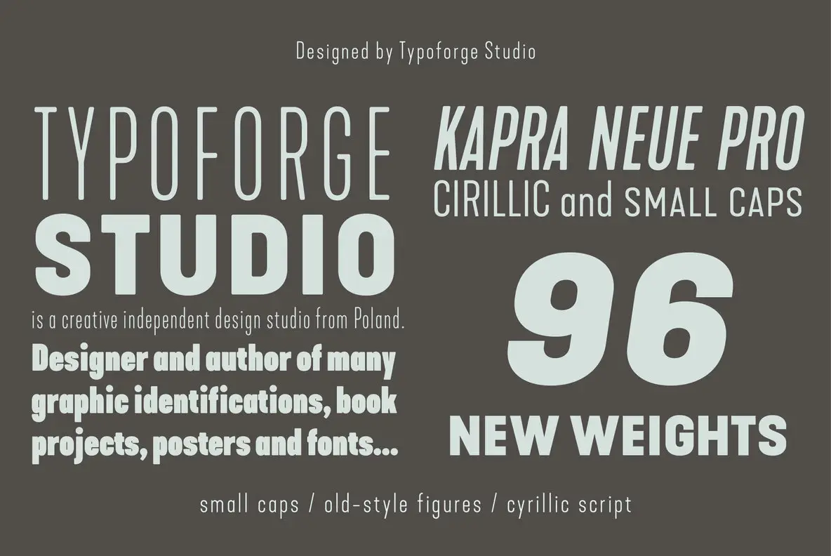 Kapra Neue Pro Font - Youworkforthem