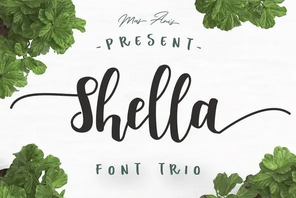 Shella Font Trio Font