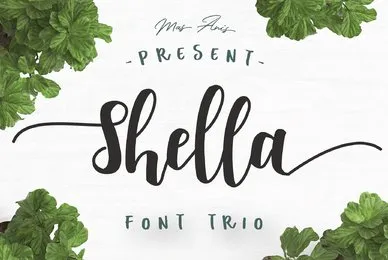 Shella Font Trio