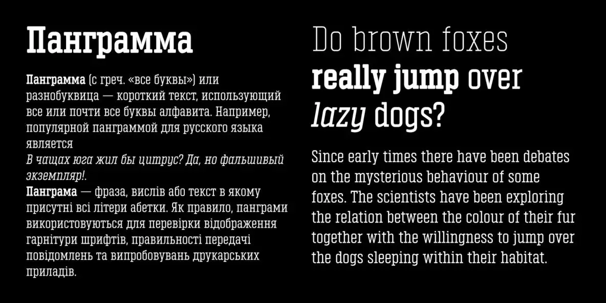 Vin Slab Pro Font - Fontpath
