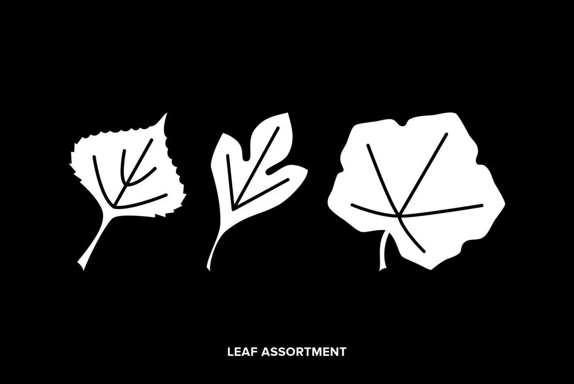 Leaf Assortment