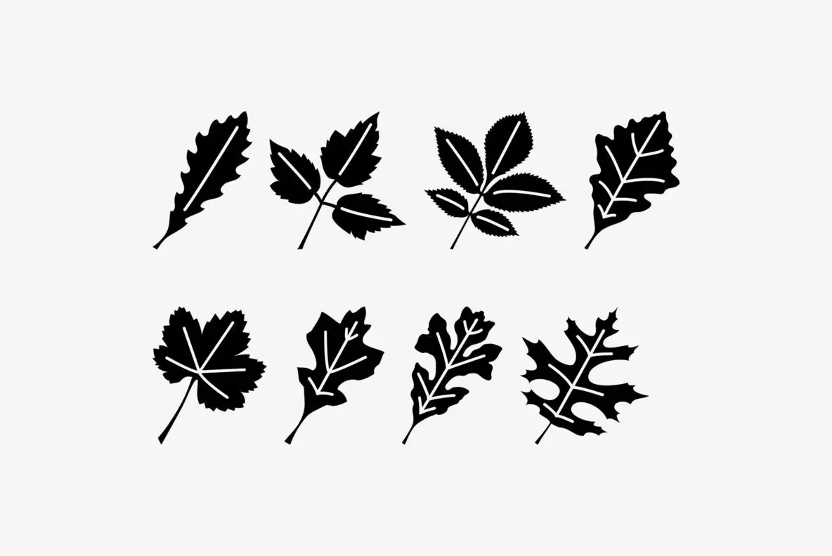 Leaf Assortment Font - Fontpath