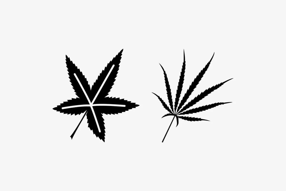 Leaf Assortment Font - Fontpath
