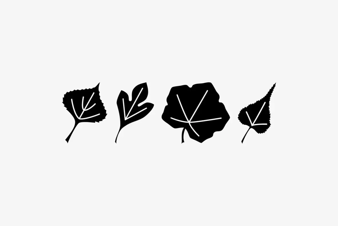 Leaf Assortment Font - Fontpath