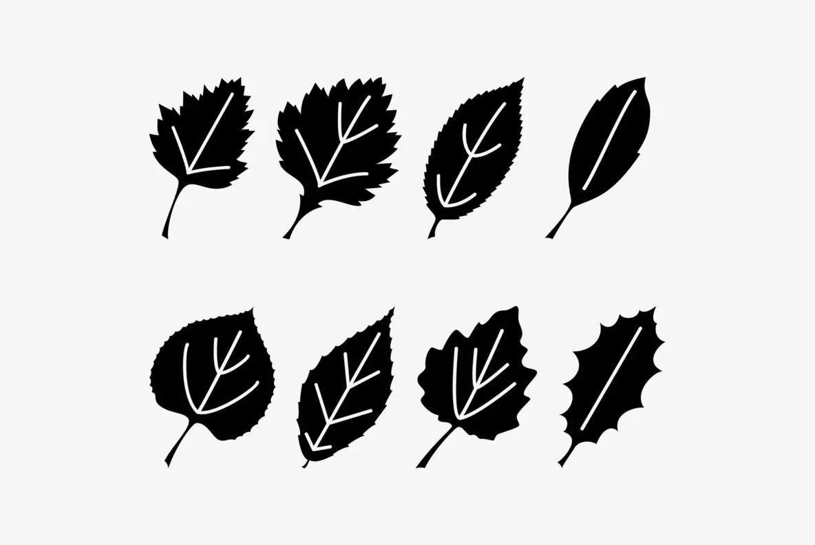 Leaf Assortment Font - FontPath