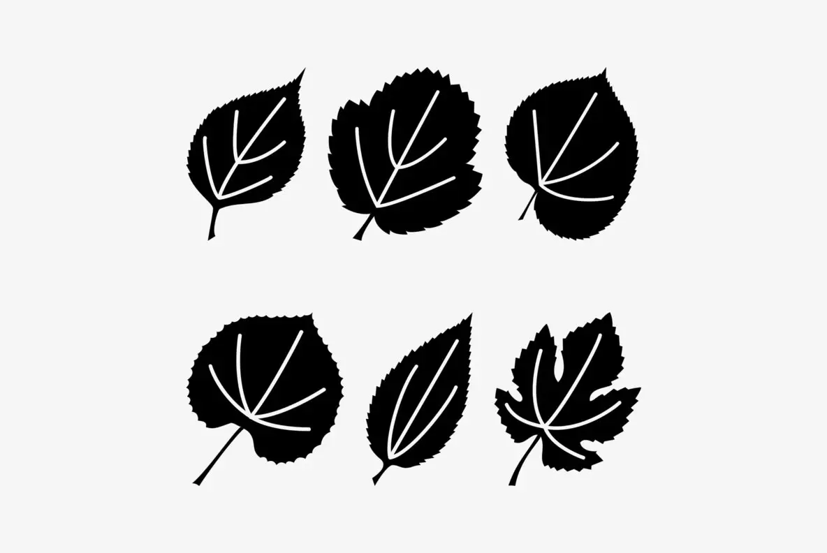 Leaf Assortment Font - Fontpath