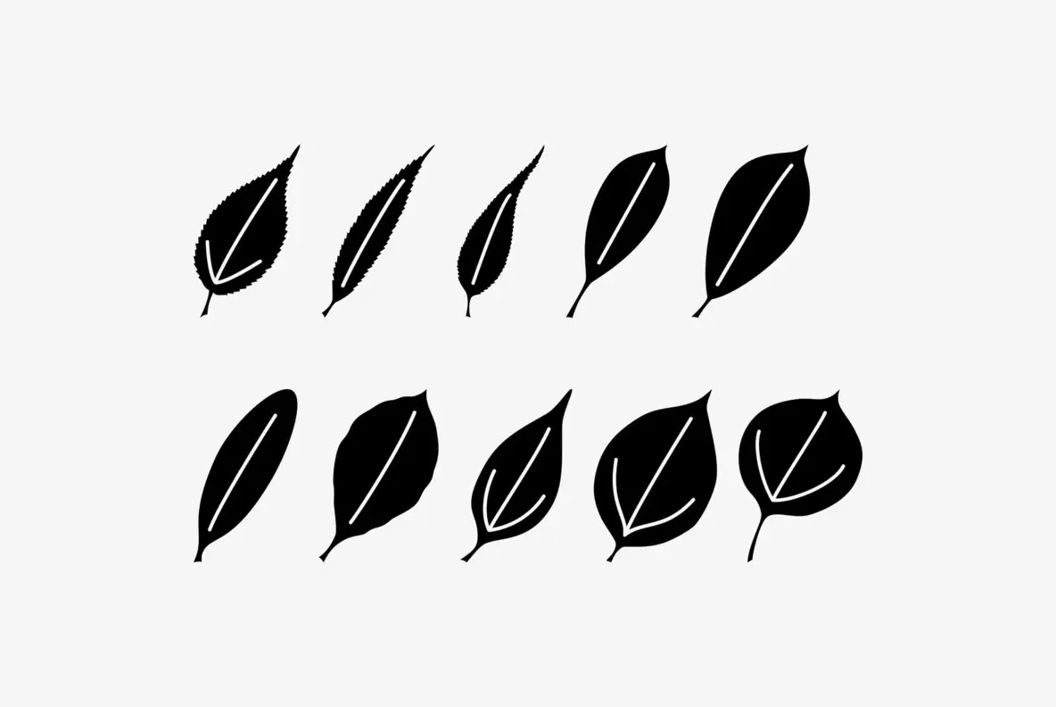 Leaf Assortment Font - FontPath