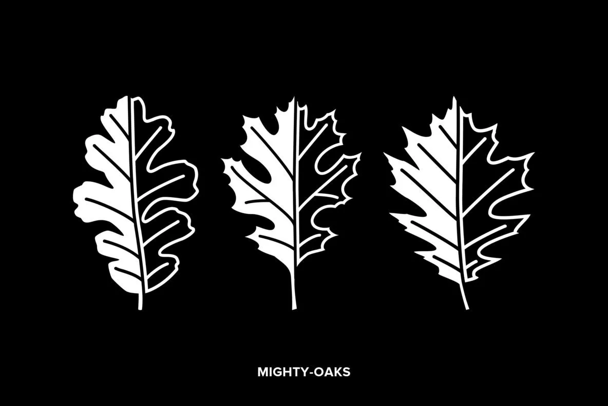 Mighty Oaks