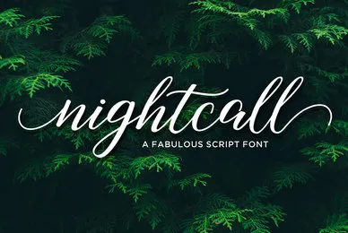 Nightcall Script