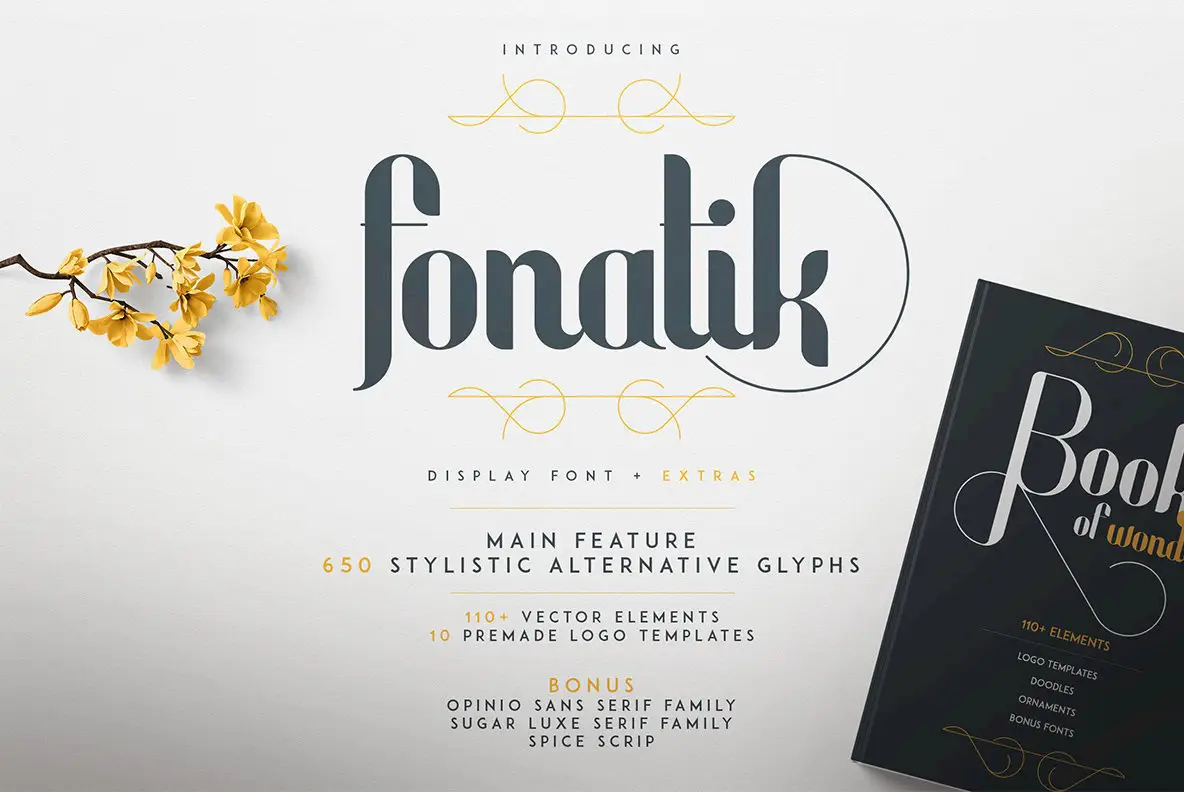 Fonatik Display Font and Extras