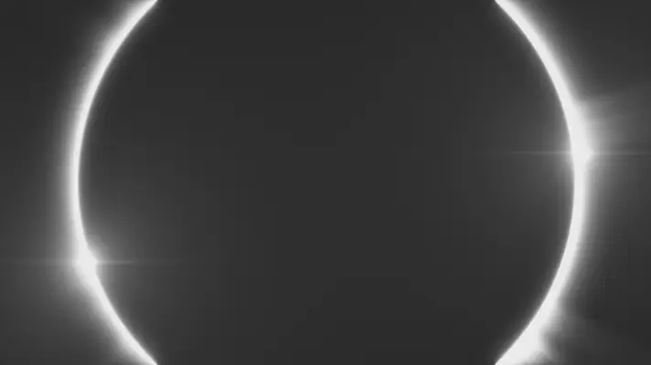 Abstract Liquid Background (4526) Video - YouWorkForThem