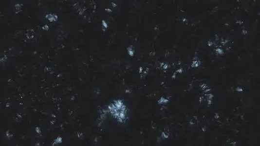 Cosmic Fractal Texture