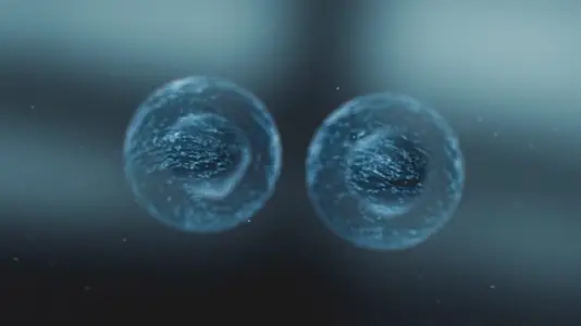 Cell Division Sequence   Medical VFX 1