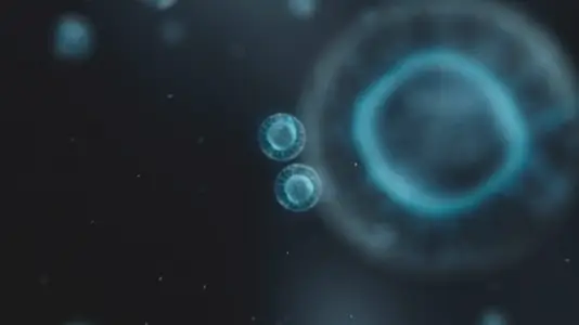 Cell Division Sequence   Medical VFX 3