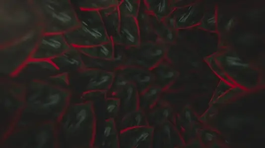 Nature Tunnel Background Loop 21