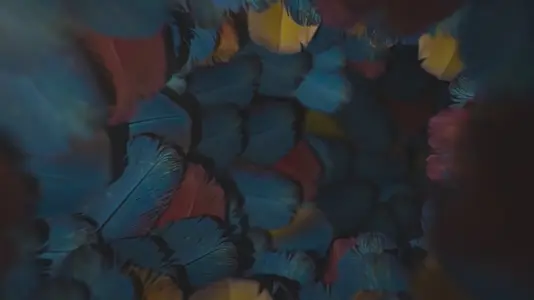 Nature Tunnel Background Loop 28