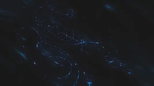 Universe Warping Space and Time     Seamless Loop Background 18