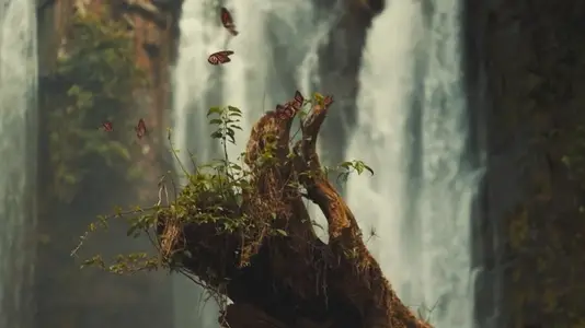 Monarch Butterflies Flying in Front of Waterfall